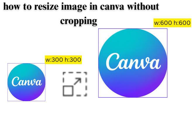 Canva image resizer